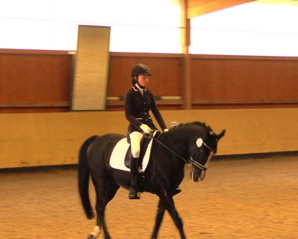 Reitturnier Uetz 2017