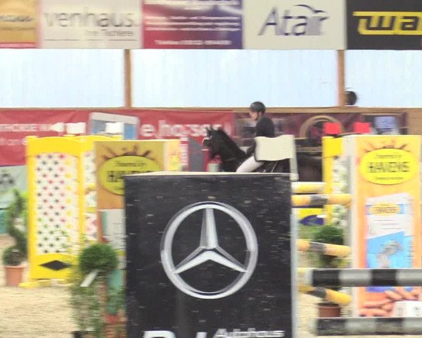 Reitturnier Isterberg 2017