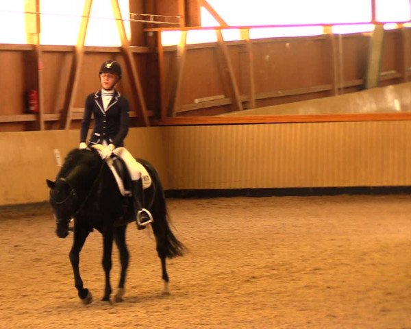 Reitturnier Uetz 2017