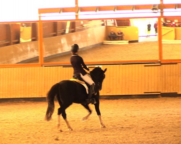 Reitturnier Uetz 2017