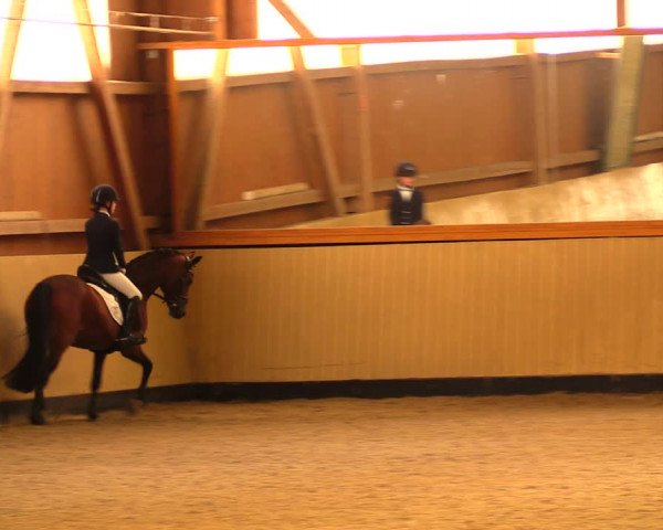Reitturnier Uetz 2017