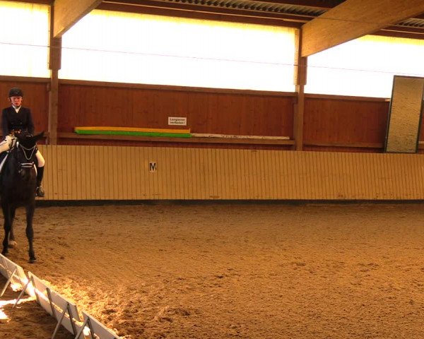 Reitturnier Uetz 2017