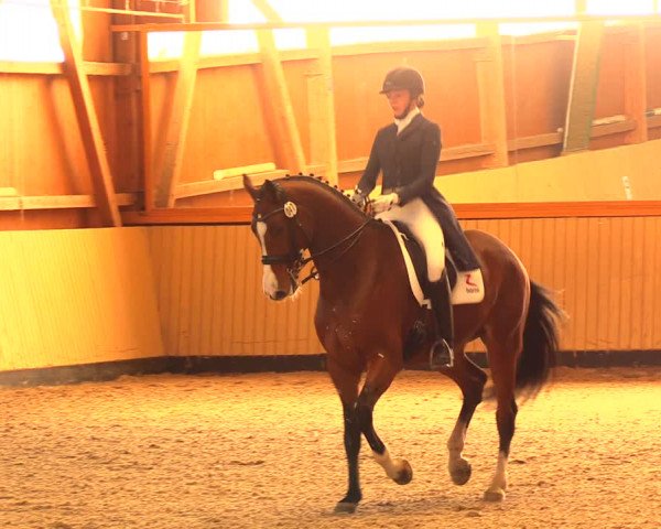 Reitturnier Uetz 2017