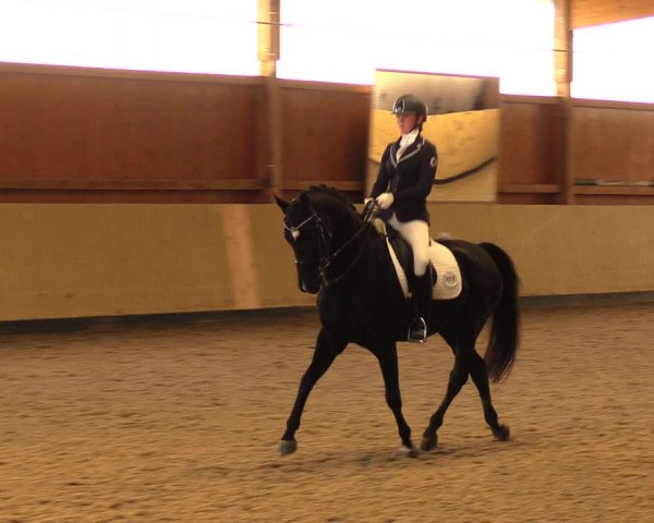 Reitturnier Uetz 2017