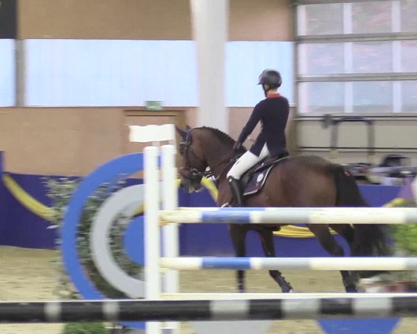 Reitturnier Isterberg 2017
