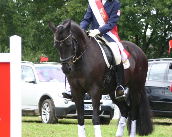 broodmare Sedona (German Riding Pony, 1992, from Mambo Moscan)