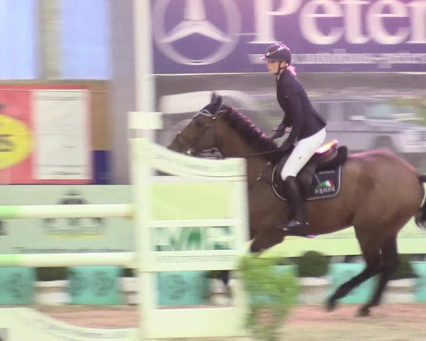 Reitturnier Isterberg 2017