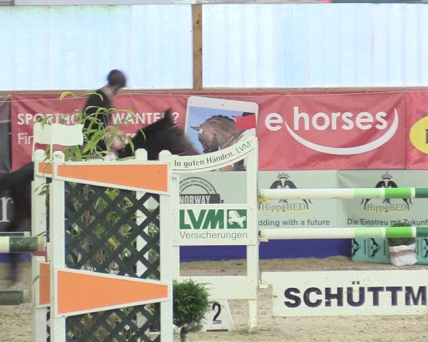 Reitturnier Isterberg 2017