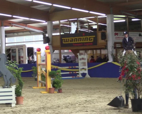 Reitturnier Isterberg 2017