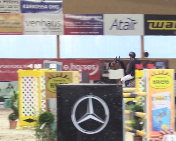 Reitturnier Isterberg 2017