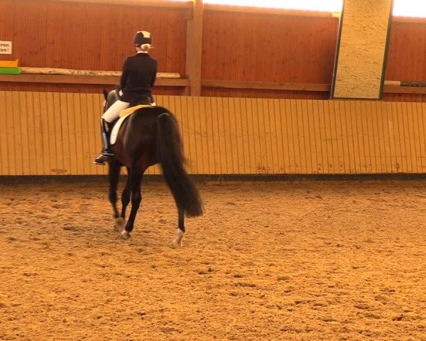 Reitturnier Uetz 2017