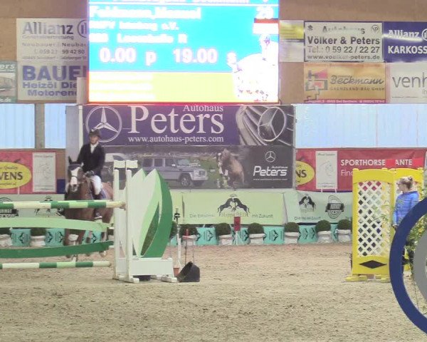 Reitturnier Isterberg 2017