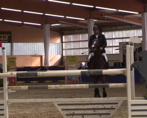 Reitturnier Isterberg 2017