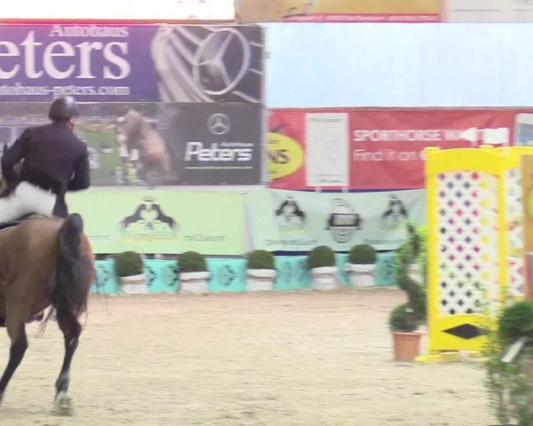 Reitturnier Isterberg 2017