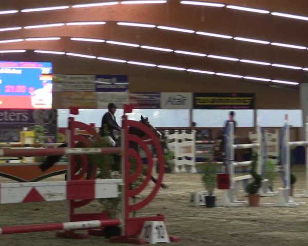 Reitturnier Isterberg 2017