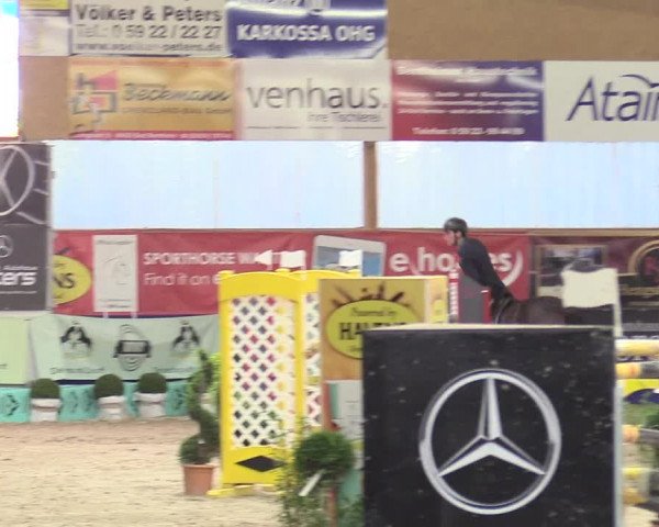 Reitturnier Isterberg 2017