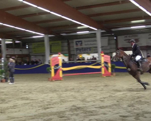 Reitturnier Isterberg 2017