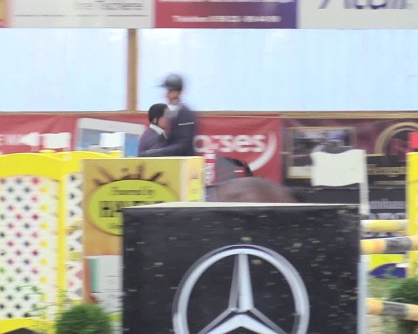 Reitturnier Isterberg 2017