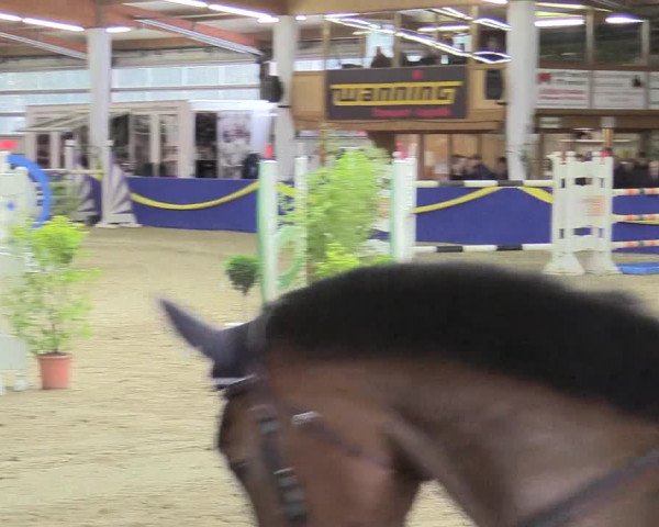 Reitturnier Isterberg 2017