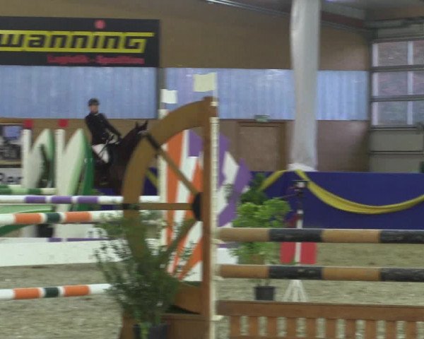 Reitturnier Isterberg 2017