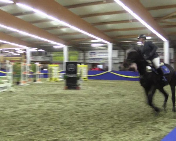 Reitturnier Isterberg 2017