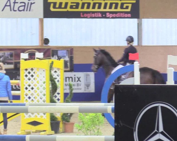 Reitturnier Isterberg 2017