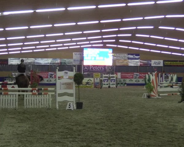 Reitturnier Isterberg 2017
