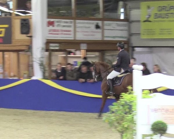 Reitturnier Isterberg 2017