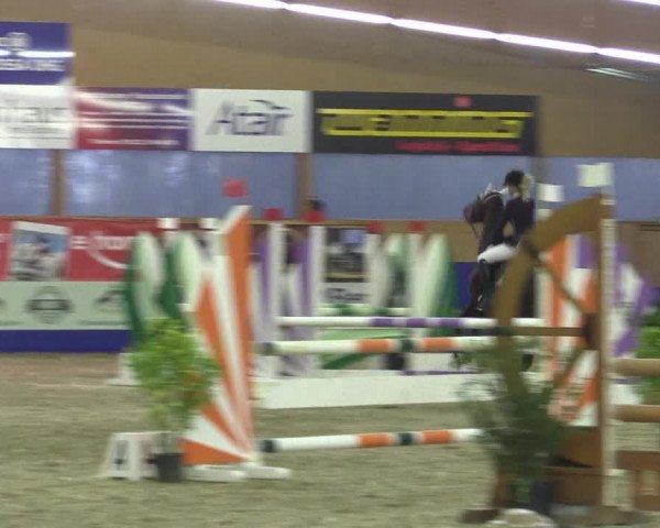 Reitturnier Isterberg 2017