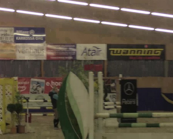 Reitturnier Isterberg 2017