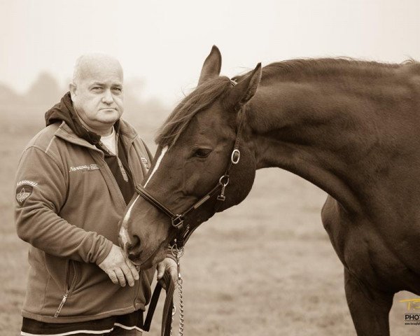 broodmare Clinta Ramira (Hessian Warmblood, 2009, from Clintord)