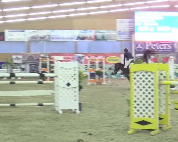 Jezdecké závody Isterberg 2017