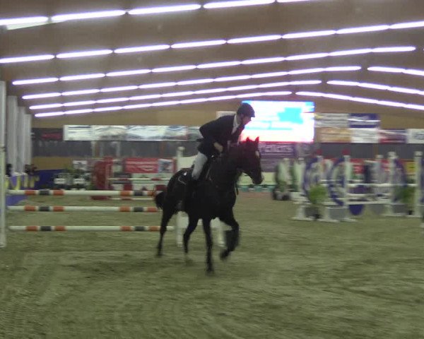 Reitturnier Isterberg 2017