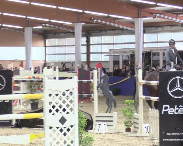 Reitturnier Isterberg 2017
