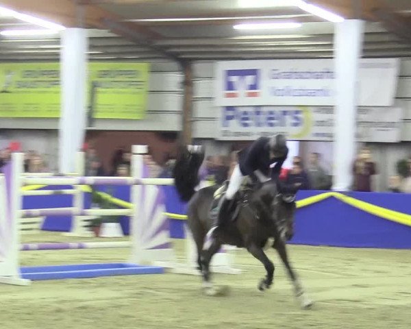 Reitturnier Isterberg 2017