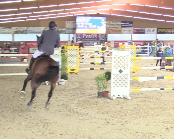 Reitturnier Isterberg 2017