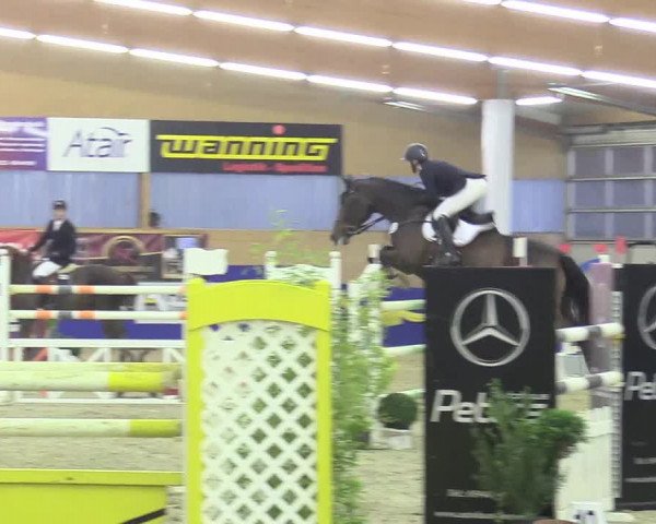 Reitturnier Isterberg 2017