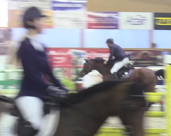 Reitturnier Isterberg 2017