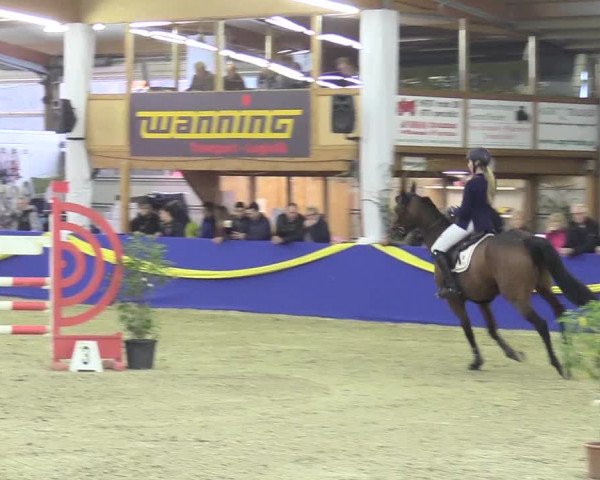 Reitturnier Isterberg 2017