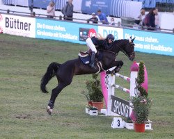 broodmare Dree Boeken's Diarados Roeschen (Hanoverian, 2009, from Diarado)
