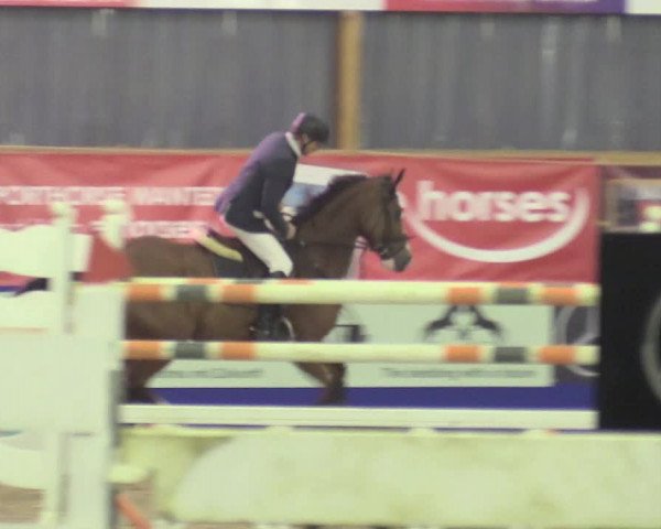 Reitturnier Isterberg 2017