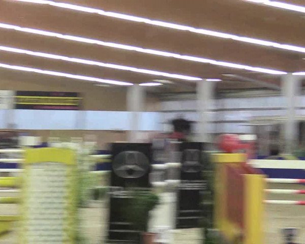 Reitturnier Isterberg 2017