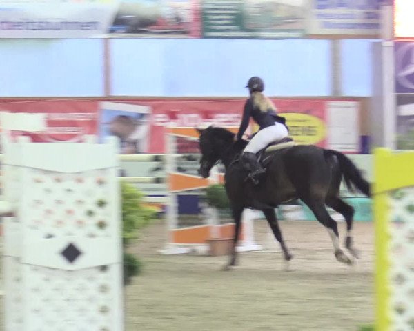 Reitturnier Isterberg 2017