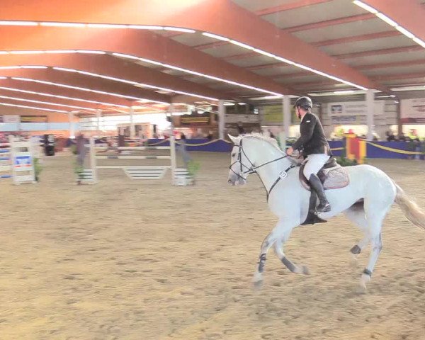 Reitturnier Isterberg 2017