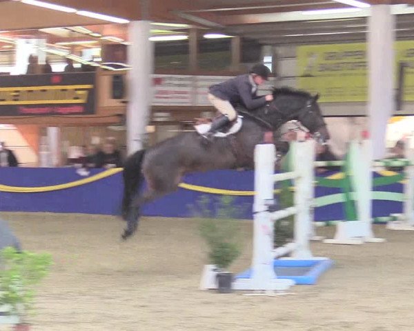 Reitturnier Isterberg 2017