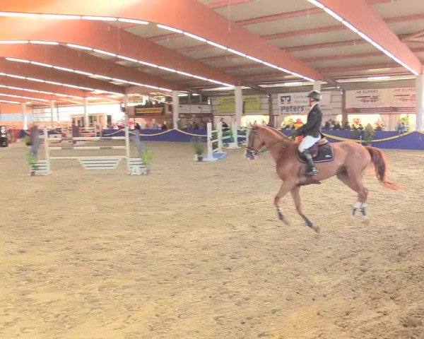 Reitturnier Isterberg 2017