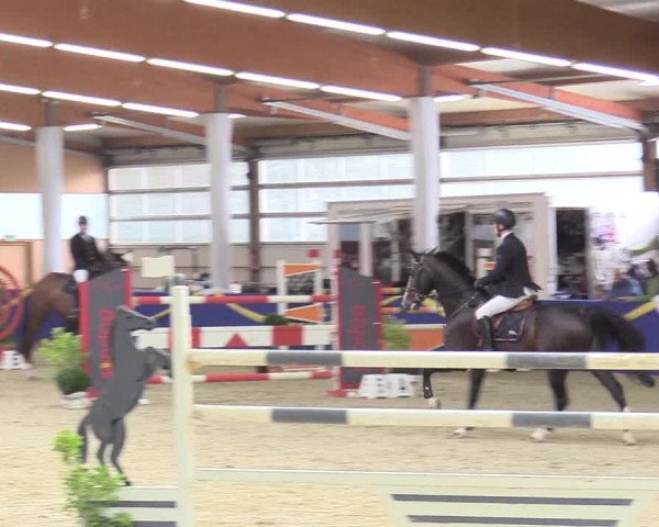 Reitturnier Isterberg 2017
