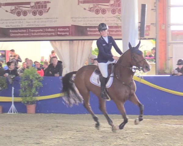 Reitturnier Isterberg 2017
