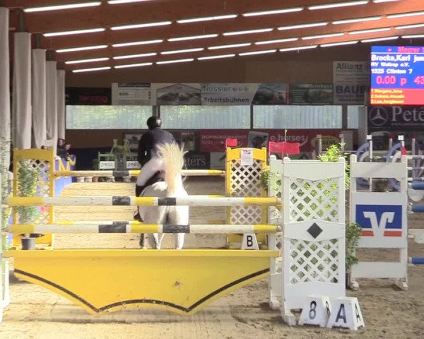 Reitturnier Isterberg 2017