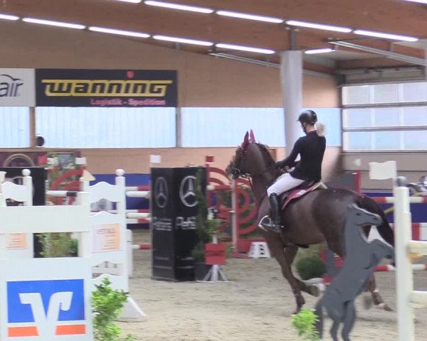 Reitturnier Isterberg 2017
